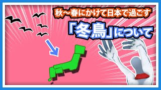 【羽鳥ぽぽぽ】秋に日本にやってきて春に帰っていく冬鳥について【第294羽】