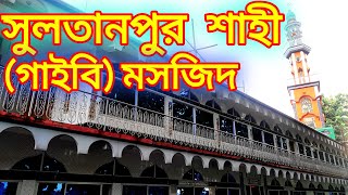 গাজীপুরের ঐতিহাসিক (গাইবি) সুলতানপুর শাহী জামে মসজিদ | গাজীপুর,কাপাসিয়া,টুক | ভ্রমণ গাইড | MHA VLOGS