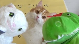 ねぇねぇこれできる？　パート２