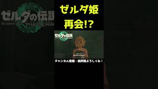 ついに再会！？ゼルダ姫！【ゼルダの伝説 ティアーズ オブ ザ キングダム】【ティアキン】#Shorts