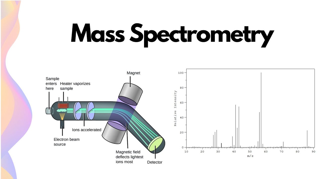 Mass Spectrometry In Organic Chemistry // HSC Chemistry - YouTube