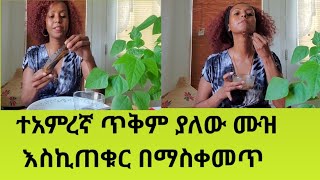 ሙዝ በሰበሰ ብላችሁ እንዳትጥሉት በተለይ አሁን ፀሀይ እየመጣ ስለሆነ በዚህ ተጠቀሙ ጥቋቁር ነገር ያጠፋል