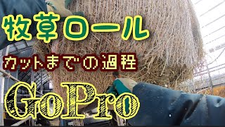 【牧草】GoProで牧草ロールをフォークリフトで運ぶ映像を撮る！！