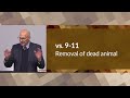 attaining holiness burnt offerings leviticus 1 bible study – mike mazzalongo bibletalk.tv