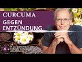 omega schwarzkümmel und curcumin bei entzündungen im körper dr. med. ingfried hobert podcast 4