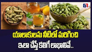 యాలాకుల‌ను నీటిలో మ‌రిగించి ఇలా చేస్తే క‌లిగే లాభాలివే.. #yalakulu health benefits #grtvhealth #food