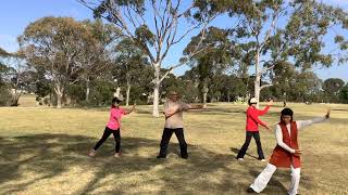 Taichi 13 steps 12-11-2024