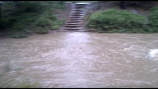 Byarong Creek, Figtree in flood, 03 March 2012