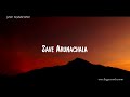 save arunachala desecration of girivalam pathway and trees in tiruvannamalai