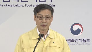 [현장연결] 정부, 아프리카돼지열병 피해농가 지원 방안 발표 / 연합뉴스TV (YonhapnewsTV)