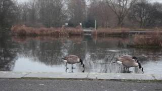 JPEG 2000 TEST