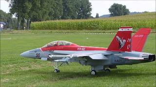 Flugshow des FMV-Eppingen e.V.