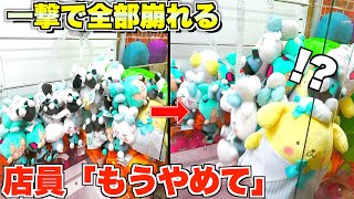 [雪崩]店員号泣の激ヤバ台でぬいぐるみの雪崩起こしてみた　〜UFOキャッチャー　クレーンゲーム　回遊館〜