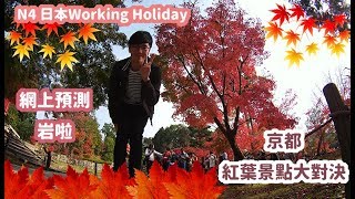 2018京都紅葉景點大對決 | Working Holiday | Travel Vlog