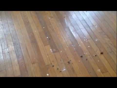 How to refinish your hardwood floors without sanding How to refinish your hardwood floors without sanding