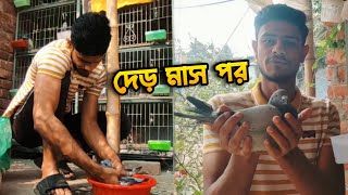 এতদিন পর কবুতরের ঘরে এসে কি কি করলাম!