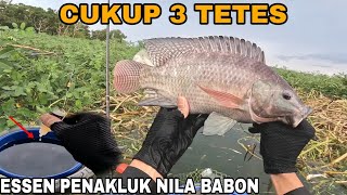 ESSEN JITU UNTUK MANCING NILA BESAR2