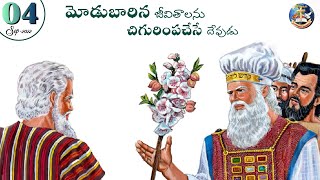 అంశం 👉చిగురించిన అహరోను చేతి కర్ర || budded staff of aaron || Telugu Christian msg👉04 || SEP || 2022