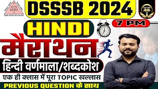 DSSSB GENERAL PAPER  2024 | DSSSB हिंदी वर्णमाला व शब्दकोश MARATHON  | DSSSB DSSSB HINDI MARATHON  |