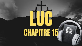 LUC 15 | LA BIBLE AUDIO avec textes