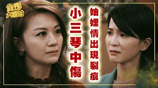 《金彩大回甘》EP167 小三琴中傷 妯娌情出現裂痕