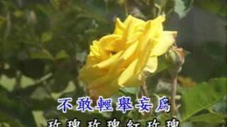 野玫瑰