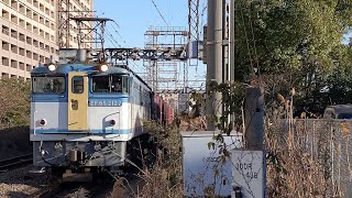 【2023年1月の貨物列車】JR貨物 EF65 2127号機+コキ20B 新A65仕業[77レ] 隅田川行 小田栄駅通過！