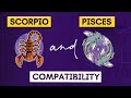 Scorpio and Pisces Compatibility | Pisces and Scorpio Compatibility