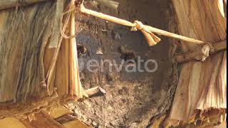 Beekeeping With Traditional Wicker Basket, Log and Skep Beehive | Stock Footage - Envato elements