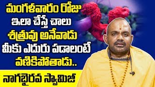 మంగళవారం ఇలా చేస్తే శత్రువులు అనేవారు ఉండరు..! | Shatru Nivarana | Satru Badha In Telugu | SumanTV