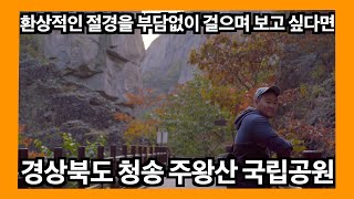 주왕산 국립공원 용추계곡 - 남녀노소 걷기좋은 산책길, 혼자 전세내고 즐기기 (산에는 해가 빨리 진다?)