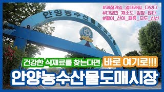 신선하고 품질좋은 농수산물 구매는 어디서?ㅣ#안양농수산물도매시장