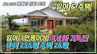 재업로드 매매가 인하 마을 상단 야생화와 유실수 가득한 마당 작은 텃밭 26평의 깔끔한 주택 집뒤 일만평이상의  산 임야가 함께하는 경남 합천군 전원주택 매매 #합천부동산