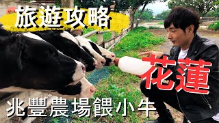 【花蓮旅遊攻略】花遊景點｜兆豐農場在地人攻略｜各種木柵動物園沒有的動物都在這