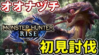 【オオナズチ】初見討伐！ライトボウガンやはり強い・・・【モンハンライズ】【MHRise】