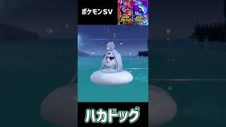 ボチ　進化　ハカドッグ　ポケモンSV #pokemon