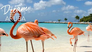 Dream Destination Spotlight: Aruba