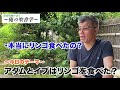 えっ？アダムとイブはリンゴを食べたの？（農家牧師のキリスト教聖書講座）