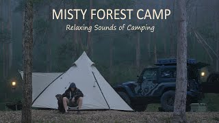 Tent CAMPING in RAIN Forest [ Misty Woods, Relaxing sounds, ASMR ]