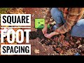 Square Foot Gardening | Growing a Years Worth of Beans!