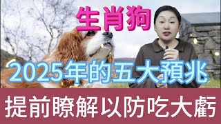 生肖狗注意！2025 年五大预兆揭晓，屬狗人早知道早受益，少吃亏赢未来！#風水 #生肖 #運勢 #佛教 #命理