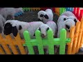 animals for children donkey sheep duck chicken goats cows animal sounds farm animals