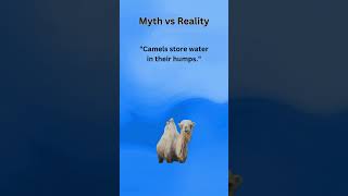 Myth vs Reality: What You Thought Was True! 😲 #myths