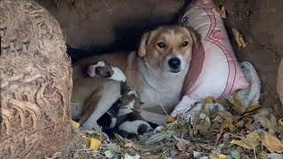 It was -17°C, she was holding her 5 crying children lying in a hole shivering from hunger and cold