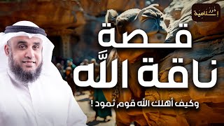 نواف السالم | قصة النبي صالح مع قوم ثمود الذين عقروا الناقة فأهلكهم الله بصيحة ورجفة من السماء!