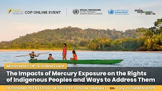The Impacts of Mercury Exposure on the Rights of Indigenous Peoples and Ways to Address Them