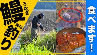 【うなぎ穴釣り】うな重を作って食べる