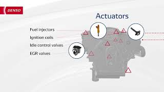DENSO Engine management system