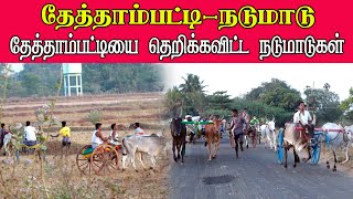 ETSS rackla race - தேத்தாம்பட்டி (நடுமாடு-14.04.2021)