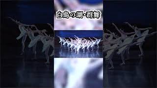 白鳥の湖 本番直前リハーサル④ #shorts #バレエ #ダンス #ballet #dance #swanlake